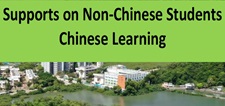 Education Support Provided for Non-Chinese Speaking (NCS) Student(s) School Support Summary for the 2023/24 School Year